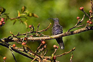 《巫师3》次世代版新截图 杰洛特、希里如父如女