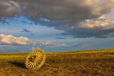 喜提两个TGA年度游戏提名 任天堂官方发文感谢玩家